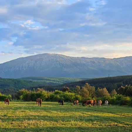 Villa Ranc Crna Stina Livno Exterior foto